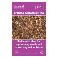Melcourt® Spruce Ornamental