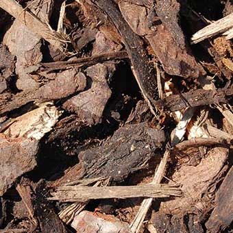 Melcourt® Amenity Bark Mulch