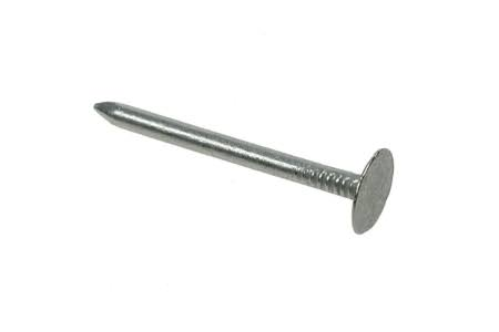 30mm Clout Nails