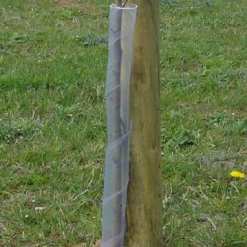 Rainbow Tree Spiral Guard 60cm x 38mm
