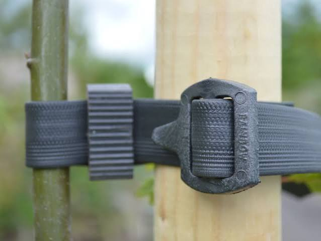 Buckle Tree Ties