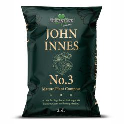 Evergreen John Innes No.3