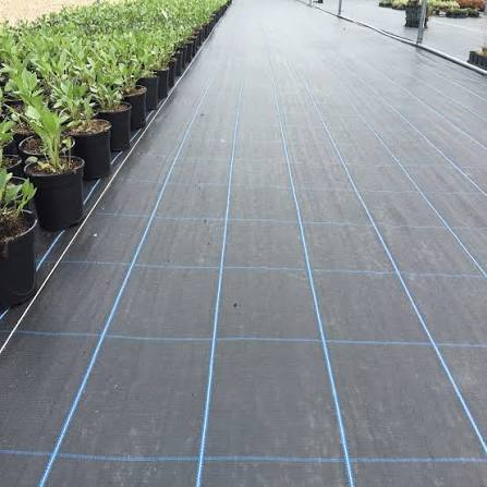 Premium Ground Cover